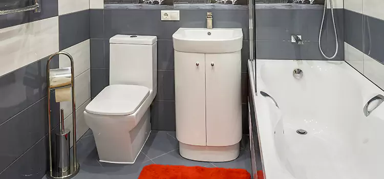 Hansgrohe Shaving Mirror Fayetteville